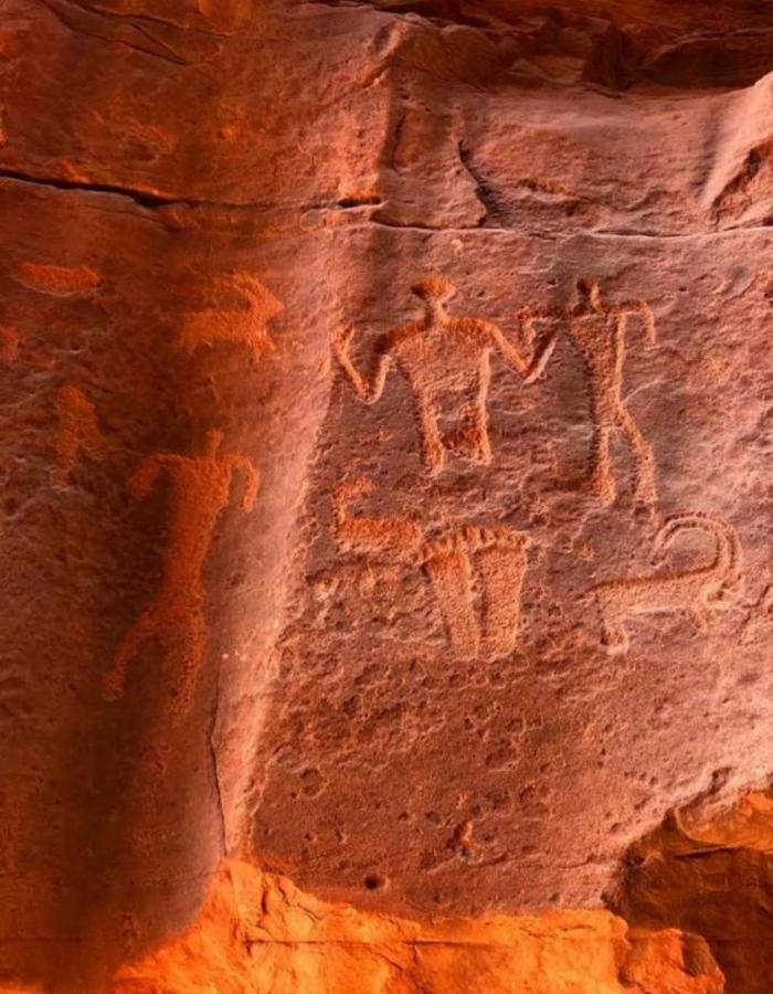 Hidden Wadi Rum Camp المظهر الخارجي الصورة