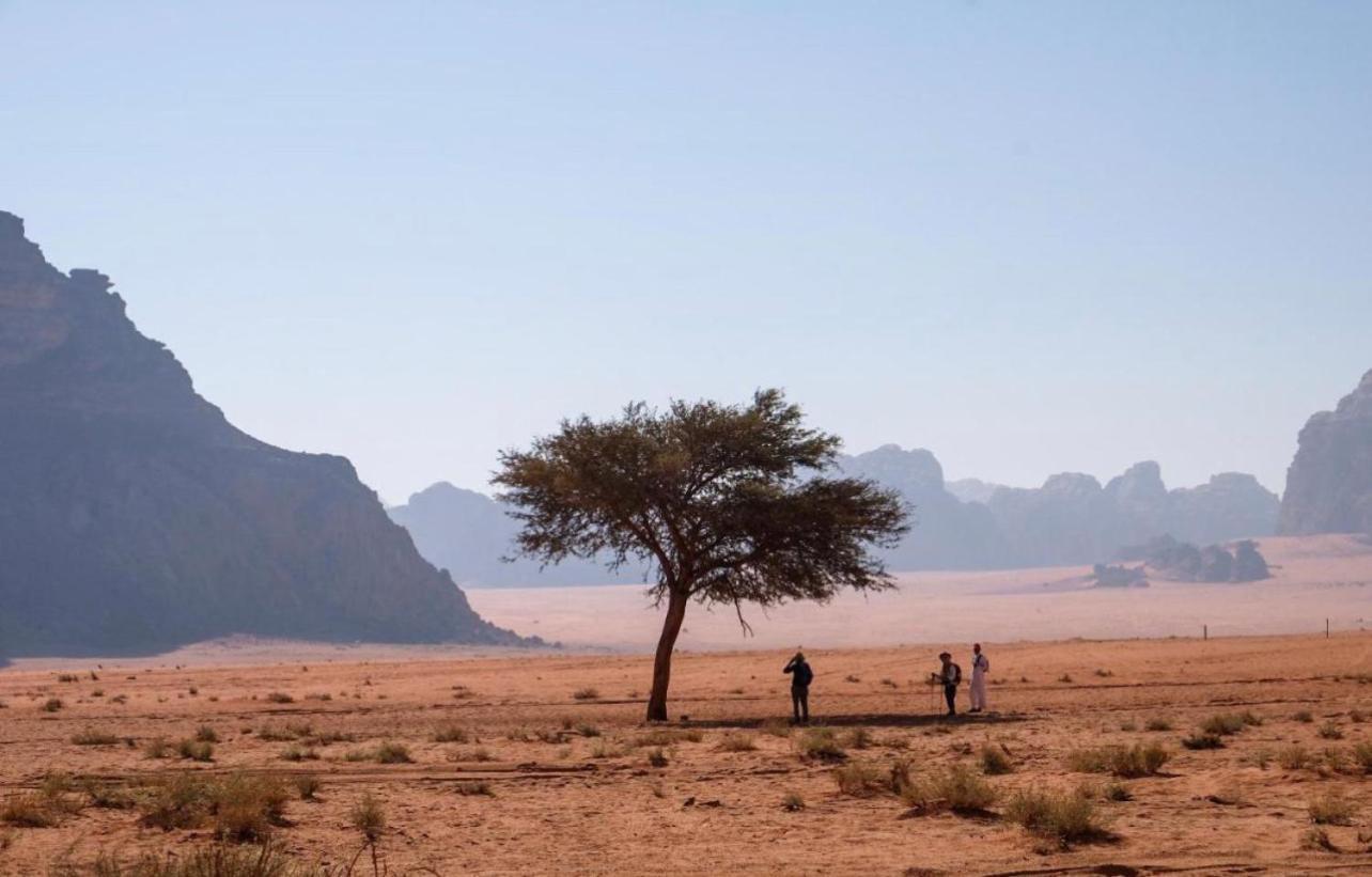 Hidden Wadi Rum Camp المظهر الخارجي الصورة