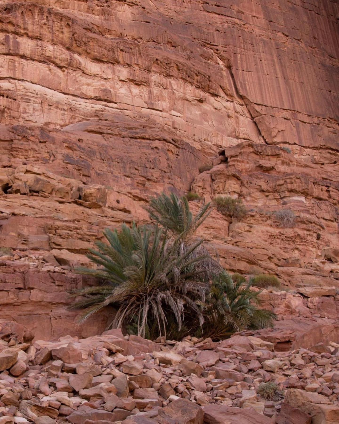 Hidden Wadi Rum Camp المظهر الخارجي الصورة